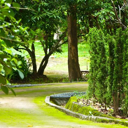Golden Teak Homestay Маэ-Рим Экстерьер фото