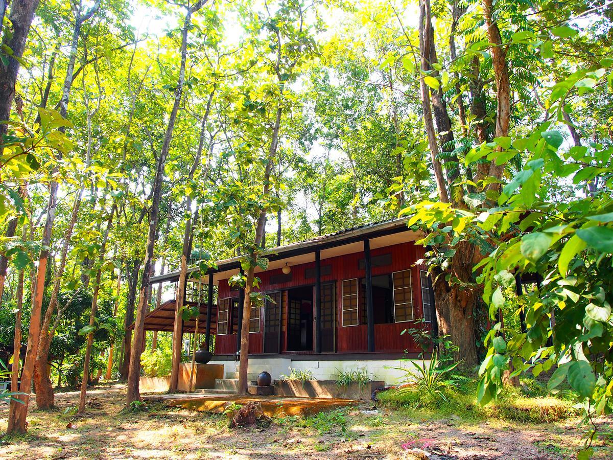 Golden Teak Homestay Маэ-Рим Экстерьер фото